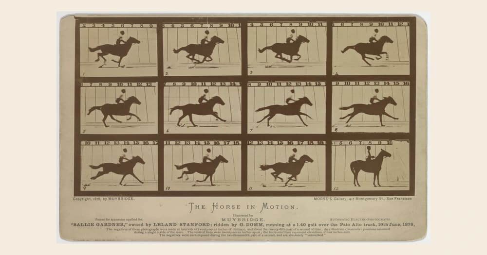 Muybridge's 1878 Sallie Gardner horse-motion card, reproduced in full on a cream background. Credit: Eadweard Muybridge / Library of Congress, LC-DIG-ppmsca-06607; no known restrictions on publication.