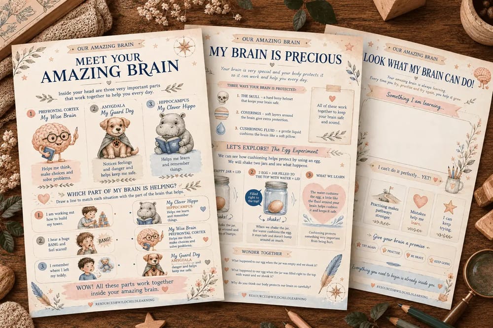 Our Amazing Brain PDF Lesson