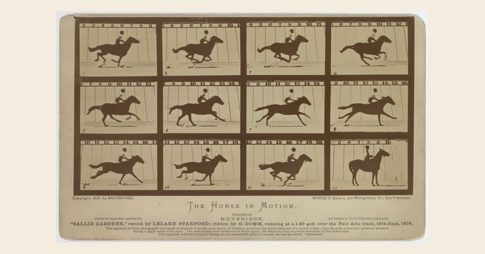 Muybridge's 1878 Sallie Gardner horse-motion card, reproduced in full on a cream background. Credit: Eadweard Muybridge / Library of Congress, LC-DIG-ppmsca-06607; no known restrictions on publication.