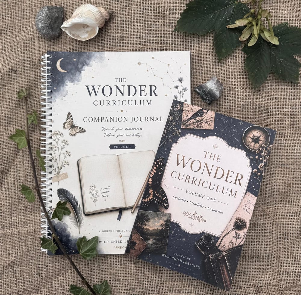 The Wonder Curriculum Volume One