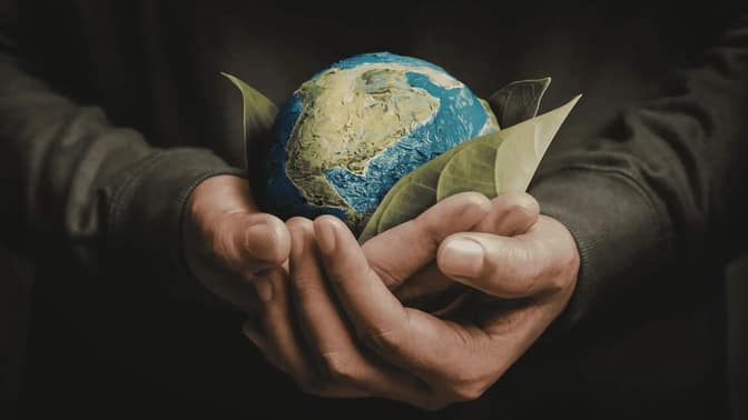 what is a green website