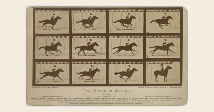 Muybridge's 1878 Sallie Gardner horse-motion card, reproduced in full on a cream background. Credit: Eadweard Muybridge / Library of Congress, LC-DIG-ppmsca-06607; no known restrictions on publication.