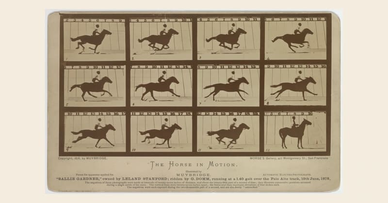 Muybridge's 1878 Sallie Gardner horse-motion card, reproduced in full on a cream background. Credit: Eadweard Muybridge / Library of Congress, LC-DIG-ppmsca-06607; no known restrictions on publication.