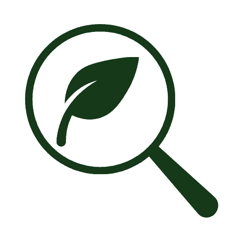 better seo performance