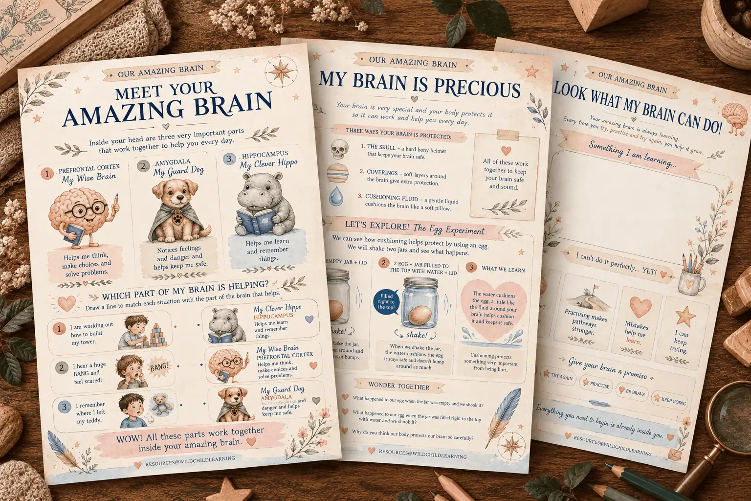 Our Amazing Brain PDF Lesson
