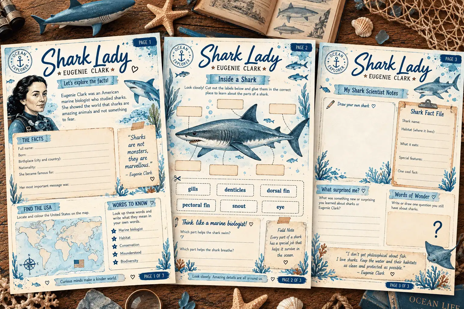 Shark Lady Wonder Companion Journal