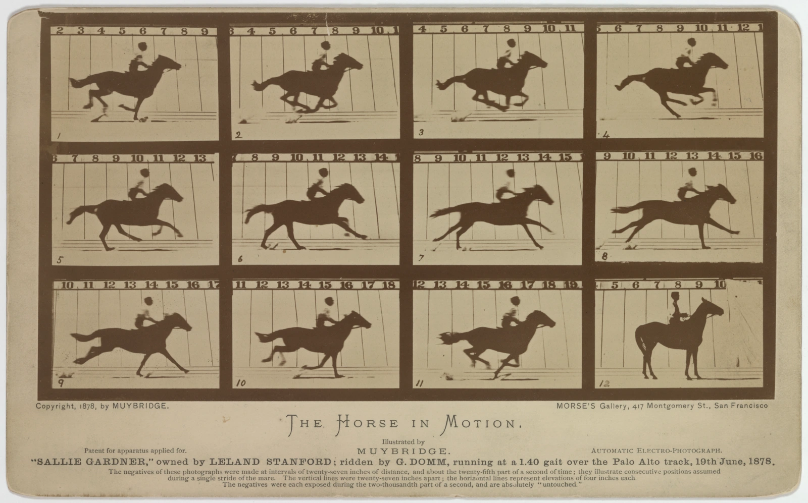Muybridge's Sallie Gardner card: numbered motion views and a final standing-horse image. Library of Congress, LC-DIG-ppmsca-06607; no known restrictions on publication.