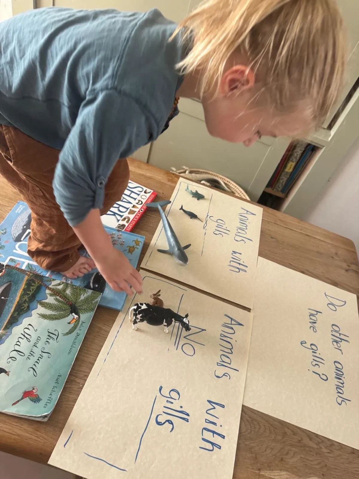 child learning which animals have gills and which don't